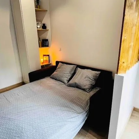 Apartment Studio Flaubert Avec Exterieur - Hypercentre